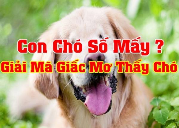 Cách giải mã và tịch số đề từ 00 đến 99 con chó